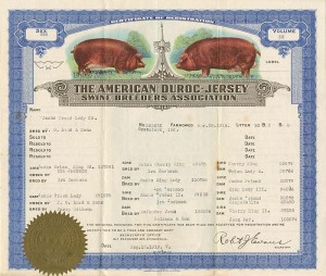 American Duroc-Jersey Swine Breeders Association